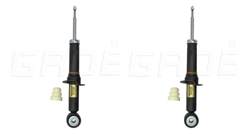 Par Amortiguadores Delanteros F-150 2004-2010 4009020, foto 1